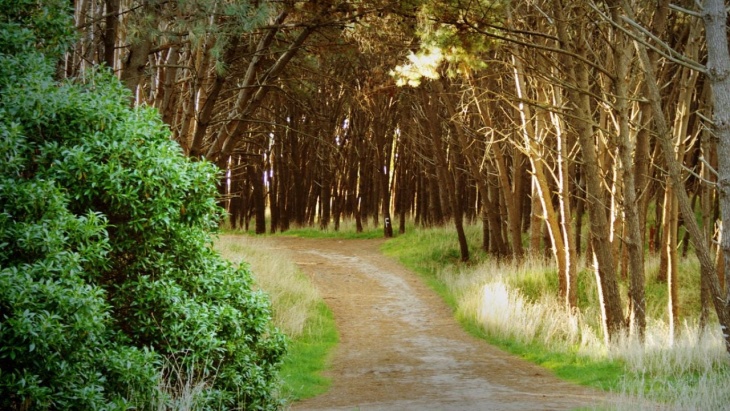 Parque Miguel Lillo.