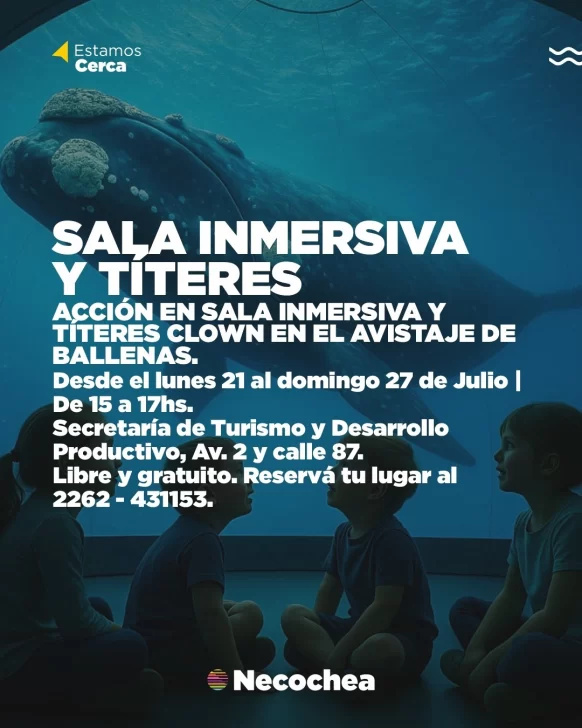 Sala Inmersiva, ballenas en Necochea.