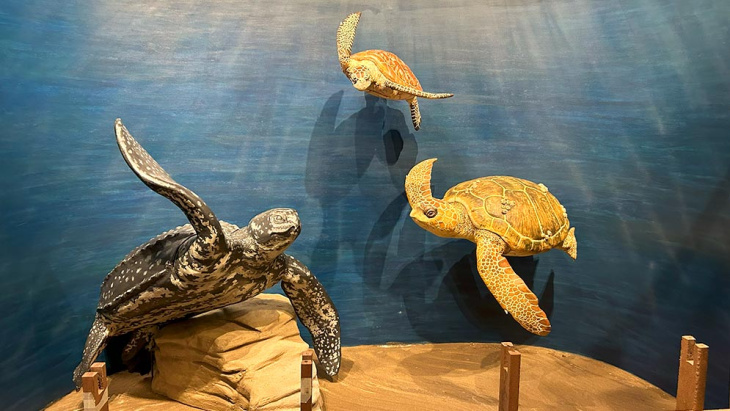 Sala del Museo de Fauna Regional