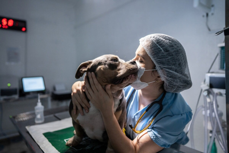 Día del Veterinario