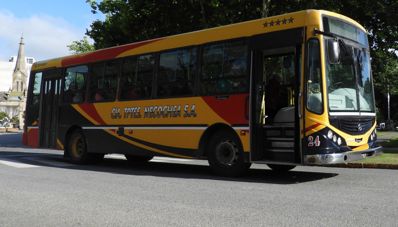 Paro de Colectivos en Necochea y Quequén: Ciudad sin Transporte Público por Falta de Pago a Choferes