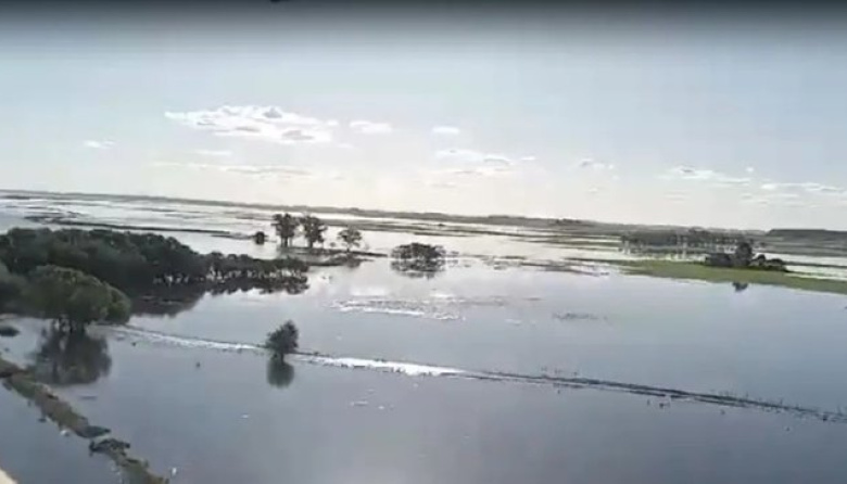 Estiman 5 millones de hectáreas afectadas por las lluvias en Buenos Aires