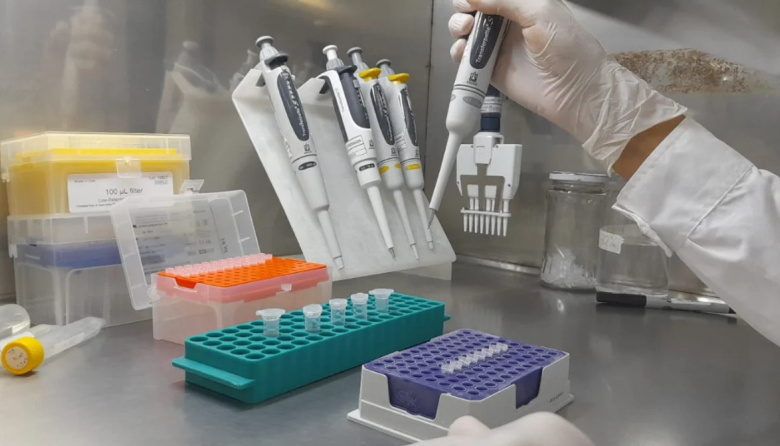 Violación en Miramar: comienzan las pericias en búsqueda de material genético