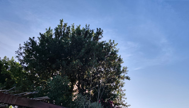 Cómo estará el clima en Necochea este fin de semana