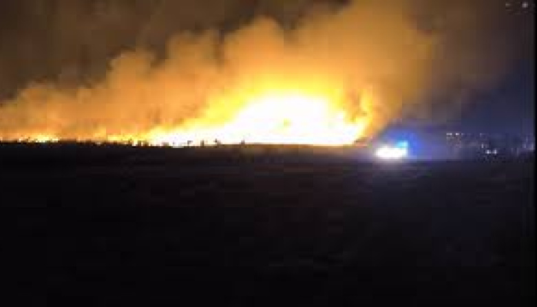 Incendio forestal en Mar del Plata: más de 200 hectáreas arrasadas