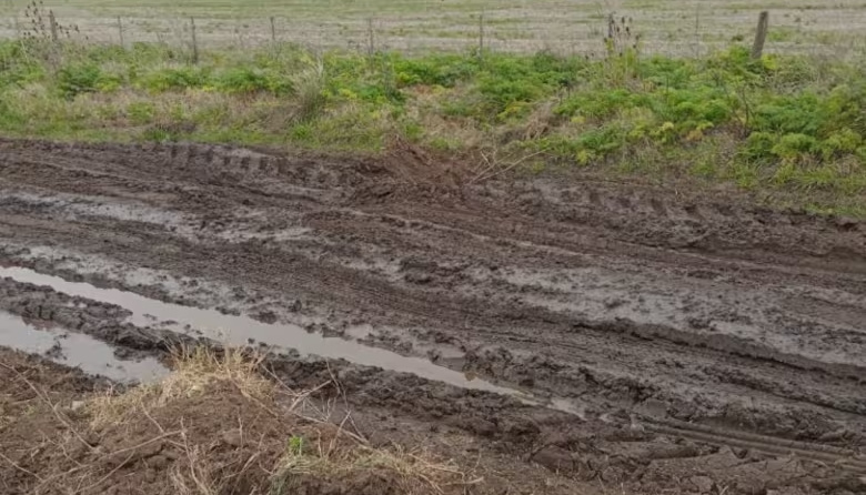 50 productores llevan a la Justicia al municipio para saber en qué se gastan la Tasas