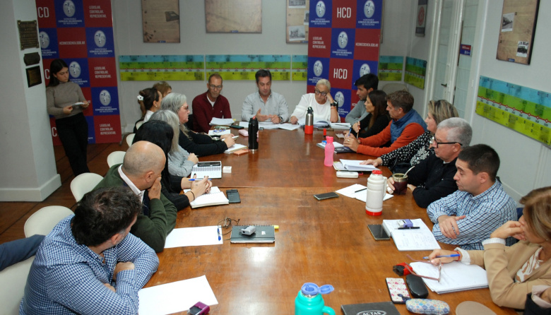 Rojas expuso en el HCD y avanza un proyecto para ampliar la emergencia sanitaria