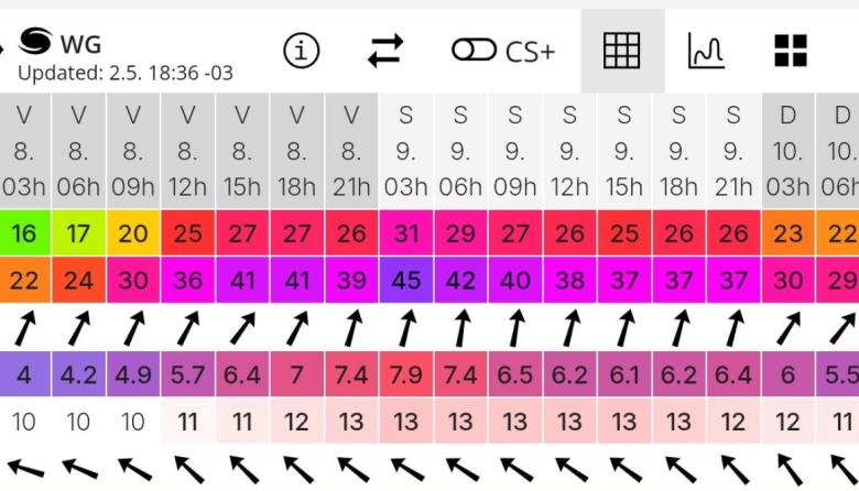 ¿Olas de 7 mts en la ciudad? Alerta por una sudestada destructiva para la costa