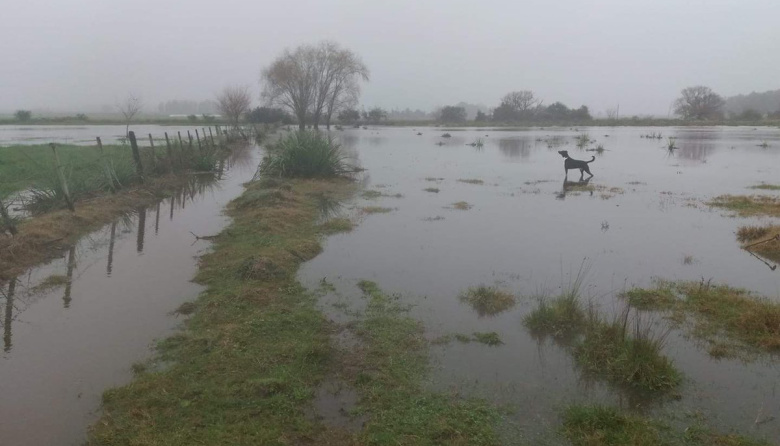 Hay más de 25.000 hectáreas inundadas en Necochea