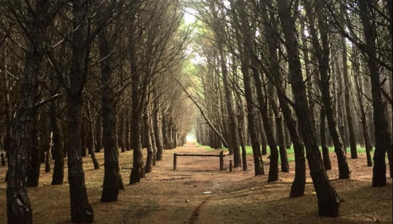 Se esperan lluvias aisladas y baja temperatura en Necochea y Quequén