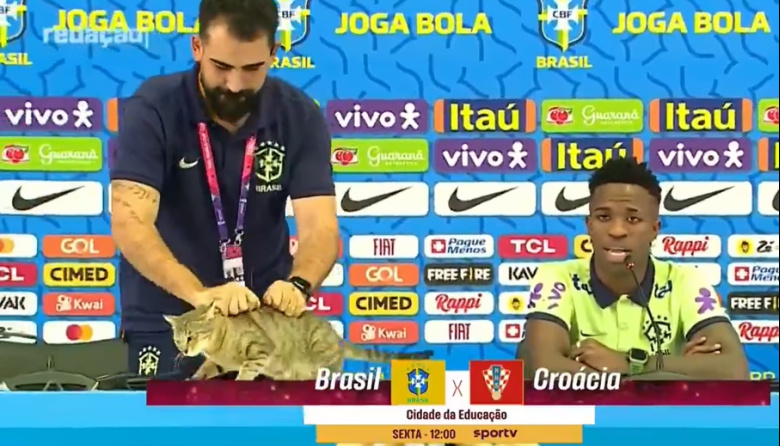 La "maldición del gato" vuelve a acechar a Brasil tras un nuevo fracaso histórico