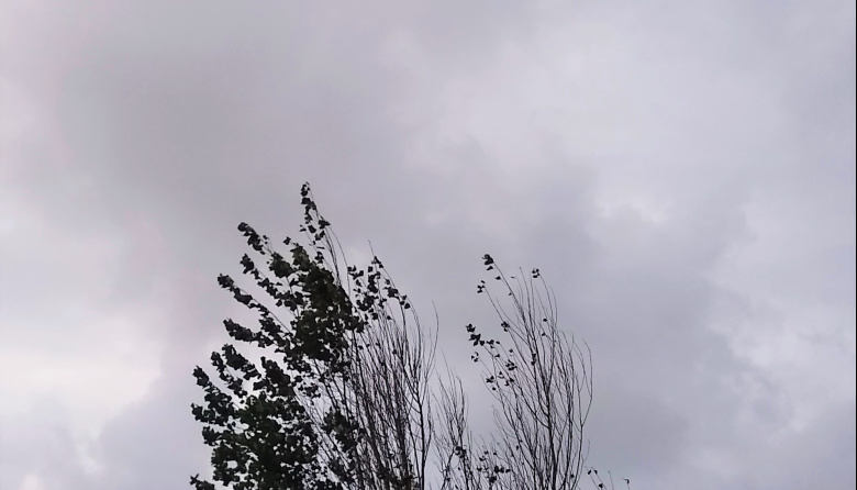 Prevén lluvias por la tarde para Necochea y Quequén