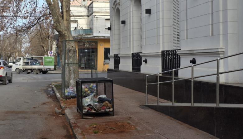 Denuncian a cuatro funcionarios por la tala irregular de árboles y maniobras en el expediente