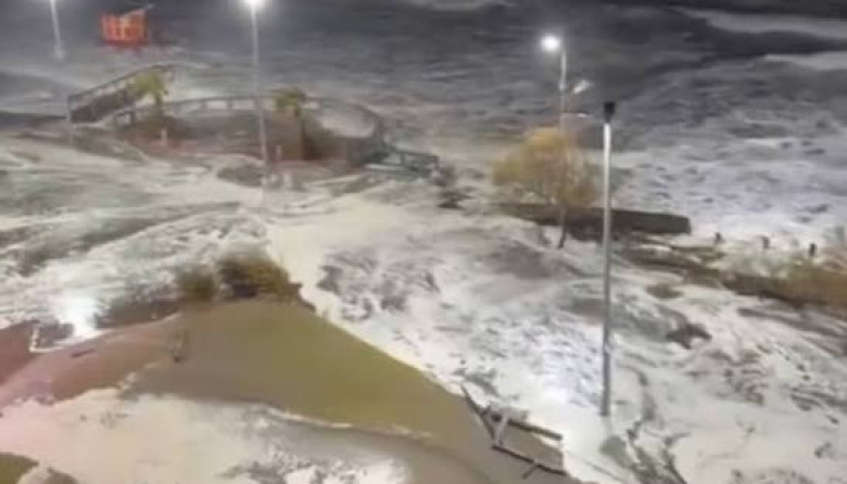 Sudestada en la Costa: apagones, árboles caídos y alerta en el sudeste