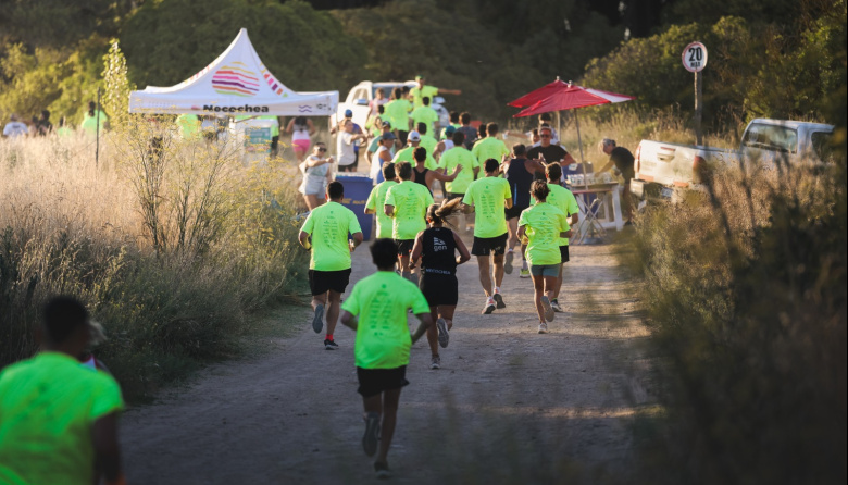 Vuelve "Actitud Solidaria": la tradicional carrera de verano en el Parque Miguel Lillo ya tiene fecha y abre inscripciones