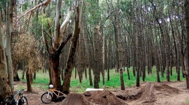 BMX: Fuerte malestar de freestylers por la destrucción de un bikepark autogestionado