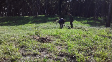 Proyectan colocar unas 7 mil plantas en el Parque mediante el plan de forestación