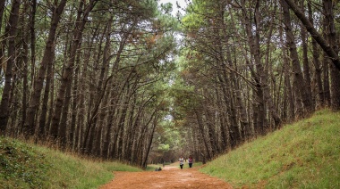 Abrazo simbólico en movimiento: Bosque y Comunidad invita a una bicicleteada