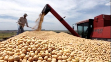 El Gobierno suspendió las exportaciones de harina y aceite de soja