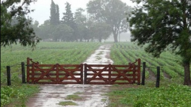 Llegaron las lluvias a la región pampeana y se frena el deterioro de los cultivos