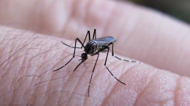 Confirman brotes de dengue en 17 municipios y la muerte de un hombre a causa de la enfermedad