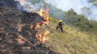 Bolivia enfrenta la crisis ambiental más grave de su historia: Incendios forestales consumen 9,8 millones de hectáreas