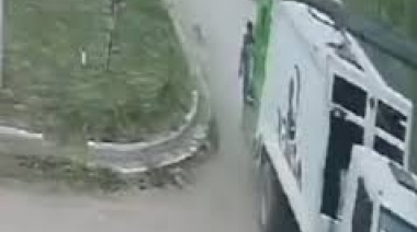 Indignación en Quequén: Recolectores Atropellan a una Perra y la Arrojan al Camión