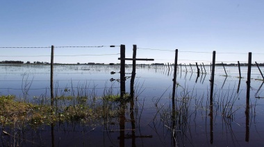 Casi 2 Millones de Hectáreas Bajo el Agua en Buenos Aires: Pérdidas “Muchísimas” en el Agro