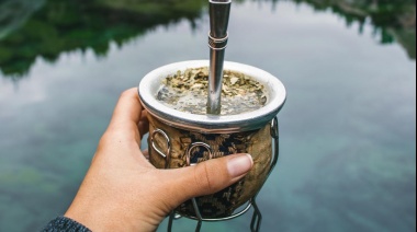¿Qué País se Lleva el 77% de la Yerba Mate que Exporta Argentina?