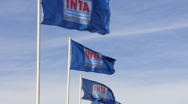 Reestructuración Estatal: El Gobierno Realiza Cambios Profundos en INTA e INTI y Disuelve Varios Organismos