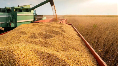 Advierten que los ajustes del Gobierno en el sector agropecuario producirán "consecuencias catastróficas"