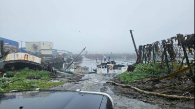 Alarma en Rusia: Terremoto de Magnitud 7.9 Sacude la Península de Kamchatka con Alerta de Tsunami