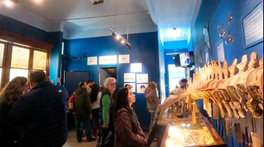 Ciencia Marina, Educación e Identidad Local: Inauguran "Joselito y las Tortugas Marinas" en Quequén
