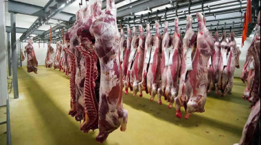 Dura Respuesta de Chile: Prohíbe Carne Ovina Argentina por Temor a la Fiebre Aftosa