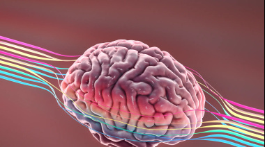 CONICET Recibe Importante Subsidio Internacional para Investigar el Alzheimer