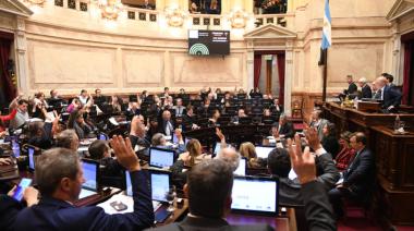 El Congreso Frenó el Veto de Milei: La Ley de Emergencia en Discapacidad Vuelve a ser Ley