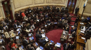 El Senado se Encarrila a una Histórica Derrota de Milei: Votarán el Rechazo al Veto por la Ley de Discapacidad