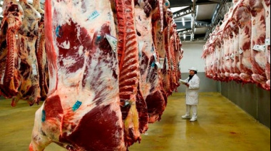 El Gobierno extiende la eliminación de retenciones a la carne avícola y bovina