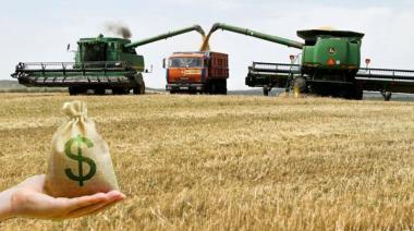 El Gobierno liquidó casi la mitad de divisas del agro para contener el tipo de cambio