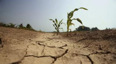 Banco Mundial prevé fuerte caída en commodities y alerta por impacto de La Niña en Argentina