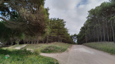 Clima en Necochea y Quequén: viernes fresco con baja de temperatura y vientos fuertes