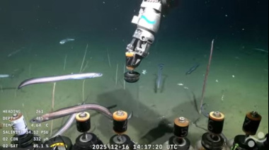 El CONICET explora los abismos de Necochea