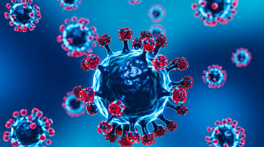 La "supergripe" H3N2 llegó a Chile y analizna muestras en Argentina