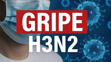 Detectan el H3N2 en Argentina