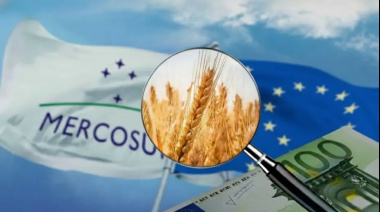 Acuerdo Mercosur-Unión Europea: ¿en qué áreas conviene formarse para ganar en euros?