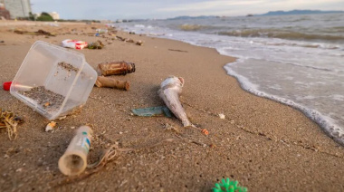 Alarmantes resultados de un estudio ambiental que incluye a Neco