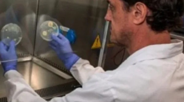 Científicos argentinos proponen combinar cannabidiol con colistina para combatir bacterias multirresistentes