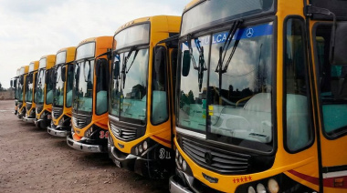 Transporte Público en Necochea: Buscan prorrogar la concesión por 120 días ante el inminente vencimiento