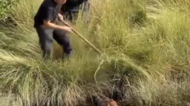 Bomberos rescataron a un perro atrapado en un desagüe