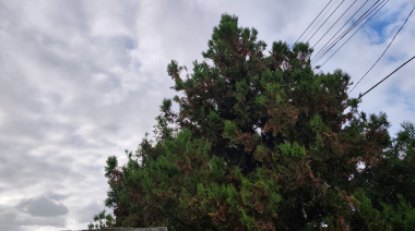 Jornada ventosa y con lluvias aseguradas en Necochea